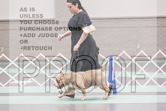 Bully Rings Fri Ring 1_JJL_6872_UKCLNGVIEWOCT2024_2024_HR3