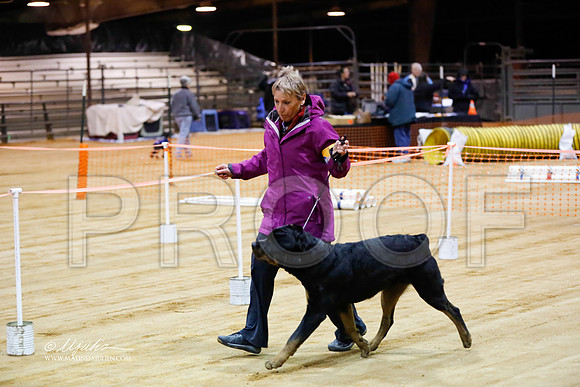 rott-0335-MrshlDec13-HR