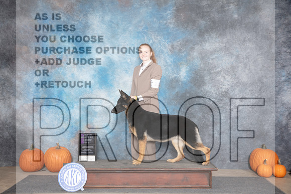 German Shepherd Dog #14 OHG1 Sat Judge Tim Catterson__JP_9053_Humble_2024_HR3