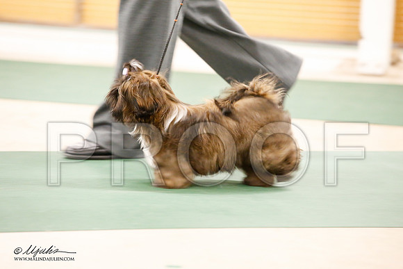 _JN_1919-NrmnNov2014-HR3