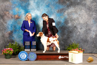 Brittan #8 Fri SBV1 Judge Terri Burrows