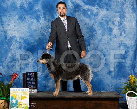 _ST_7572-SAJul2014-HR3