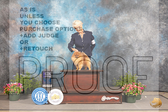Pomeranian #25 Fri WD Judge George Milutinovich_MJ_0053_SA_2022_HR3