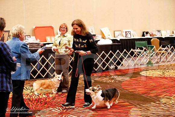 _JJ_8367-HstnCorgiFeb2015-HR3