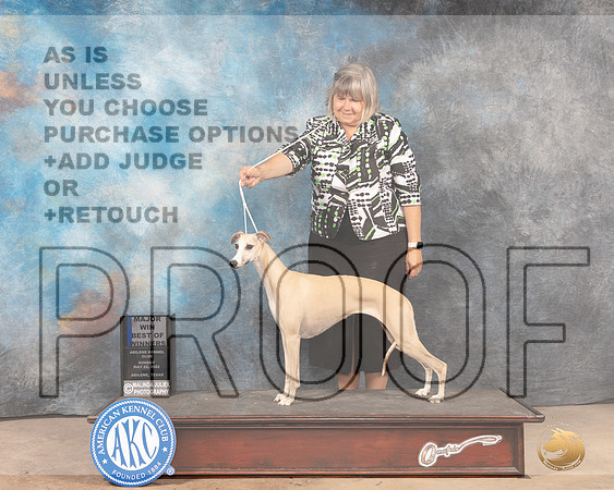 Whippet #6 Sun BOWM Judge Pat Trotter-MMJ_5063-Abilene2022-HR3
