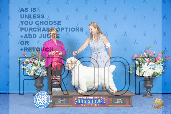 Clumber Spaniel #5 SAT G2 Judge Sandra Lex__JP_0018_Houston_2024_HR3