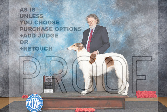 Borzoi #8 Sat BOSM Judge Sidney Marx__JP_0018_Sulphur Springs_2024_HR3