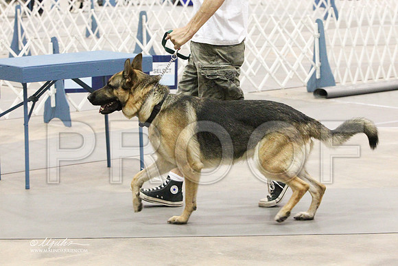 GSD-6257LR