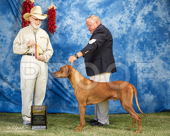 _ST_3702-AlamogordoOct2014-HR3