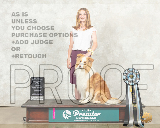 Border Collie #932 Thurs AllStar__MJ_9317_Premier_2022_HR3