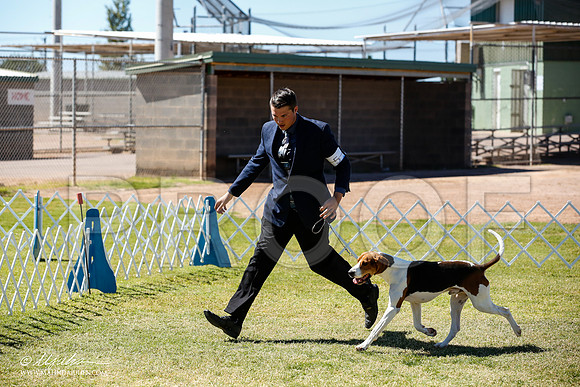 _JN_5202-AlamogordoOct2014-HR3