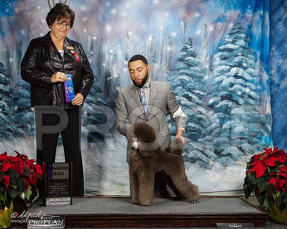 _ST_8773-DallasDec2014-HR3