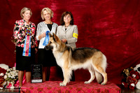 Shiloh Shepherd Sat S2 BIS BBE Carla Armbruster