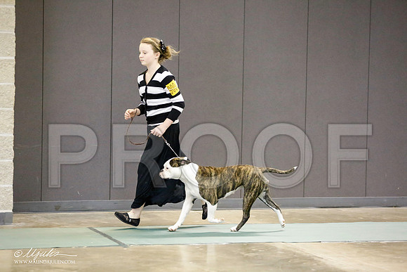 _RH_8733-BeltonJan2015-HR3