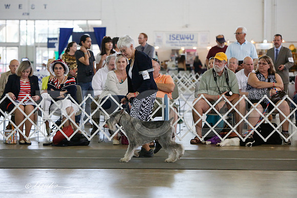 _JJ_1933-DallasJul2014-HR3