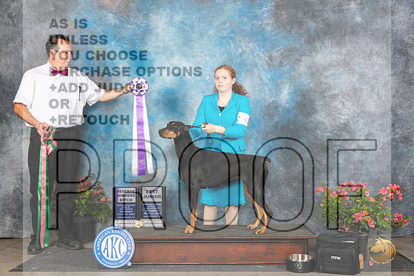 Doberman Pinscher #6 J500 Sat RWB BJr Judge Bridget Brownn__JP_5104_San Antonio_2024_HR3
