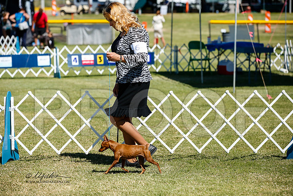_JJ_3398-AlamogordoOct2014-HR3