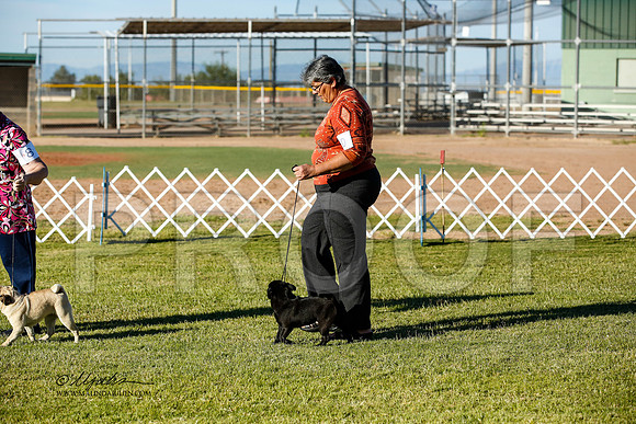_JN_0223-AlamogordoOct2014-HR3