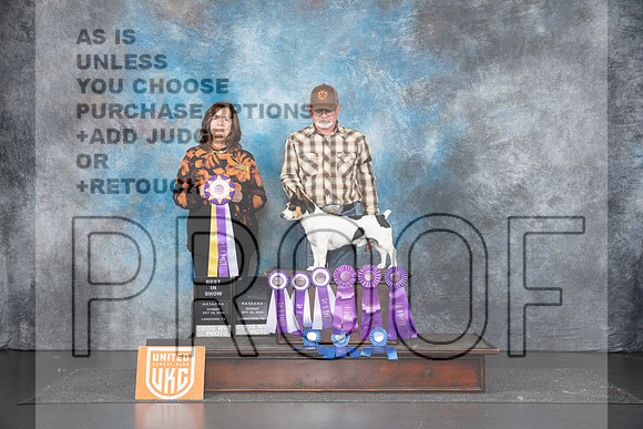 Teddy Roosevelt #173 BIS Judge Sandra Phillips__JP_1555_UKCLNGVIEWOCT2024_2024_HR3