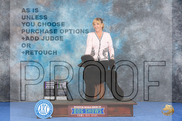Poodle Standard #8 WED RWB Judge James Moses BISS Judge Linda Clark__JP_7347_Houston_2024_HR3