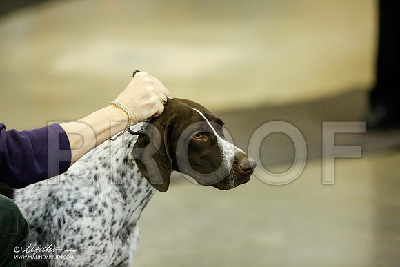 _RH_0933-BeltonJan2015IABCA-HR3