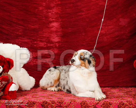 _ST_2346-2-BeltonJan2015-HR3