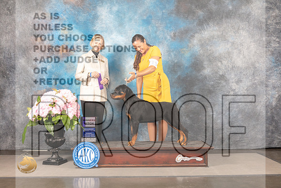 Rottweiler #18 Sun WB Judge Patricia Sosa_MJ_7589_Houston_2022_HR3