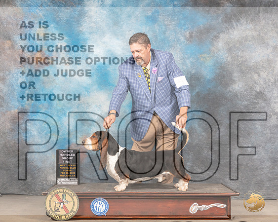 Basset Hound #5 Sun OHG1 Judge Peggy LloydMMJ_5668_Mdlnd2022_HR3