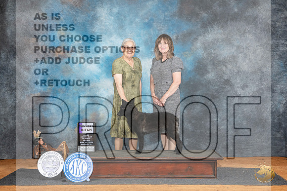 Mudi #8 Fri WB JUdge Karen Hynek__JP_6989_MARSHALL_2024_HR3