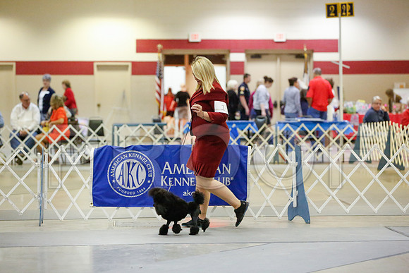 _JN_7878-AmarilloSept2014-HR3