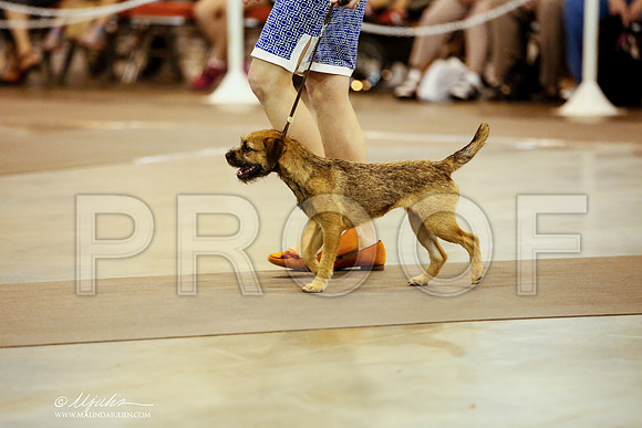 _JJ_5824-DalJul2014-HR3