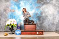 Dachshund Long Haired #18 THUR WB Judge Linda Hurlebaus