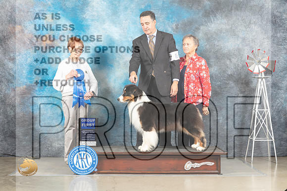 Australian Shepherd #8 Thur G1 Judge Sharon Derrick_MJ_3686_Amarillo_2022_HR3
