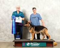 German Shepherd Dog #210 ABOB Judge Karen Cattin