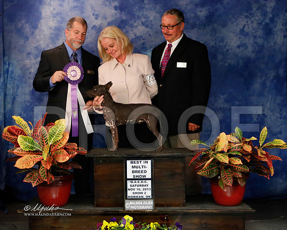 AmHrlss-8894-NormNov2013-HR