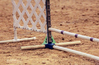 Papillon Agility Davang Chelsea Dare Sat Houston July 2012