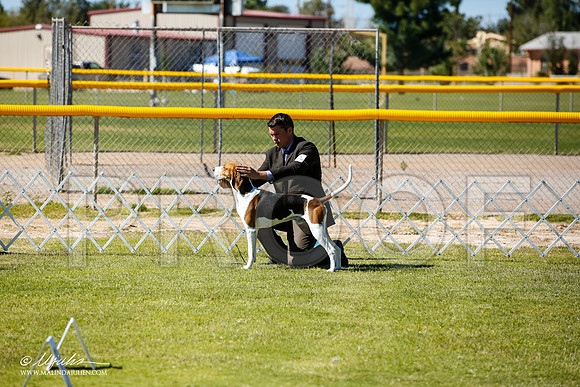 _JN_7121-AlamogordoOct2014-HR3