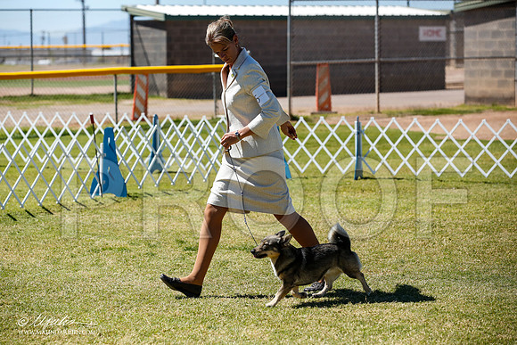 _JN_4901-AlamogordoOct2014-HR3