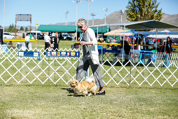 _JN_4968-AlamogordoOct2014-HR3