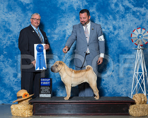 _ST_9710-AmrloSpt2016-HR3