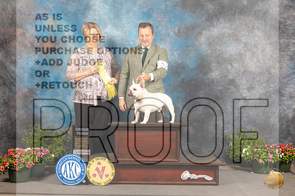 French Bulldog #37 Sat G3 Judge Cindy Lane_MJ_0647_SA_2022_HR3
