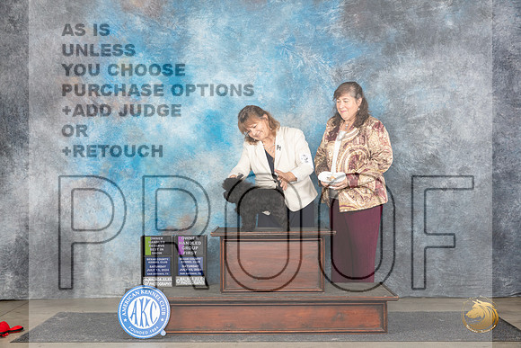 Affenpinscher #6 Sat OHRBIS Judge Polly Smith OHG1 Judge Beth __JP_5685_San Antonio_2024_HR3