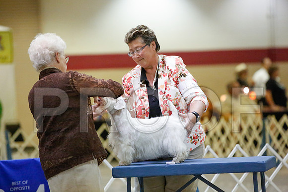 _JN_0134-AmarilloSept2014-HR3