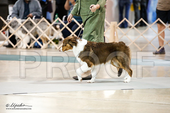 _JJ_0763-ASCACollegeStationNov2014-HR3