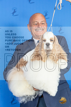 CUSTOM Cocker Spaniel Reggie SAT__JP_9847_Houston_2024_HR3