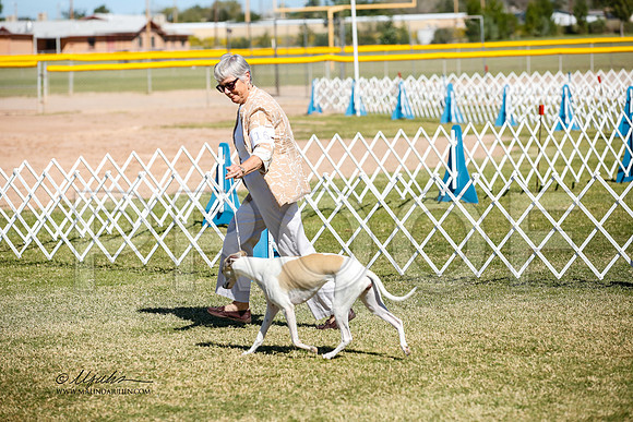 _JJ_2904-AlamogordoOct2014-HR3