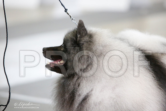 _JJ_0516-DallasJul2014-HR3