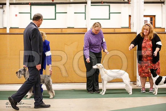 _JN_2045-NrmnNov2014-HR3