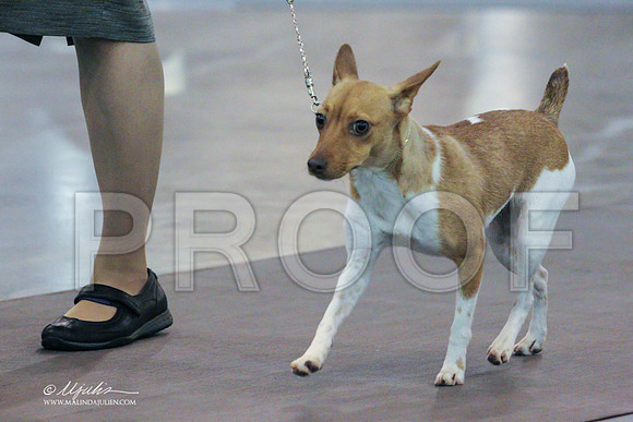 Rat-0236 PROOF