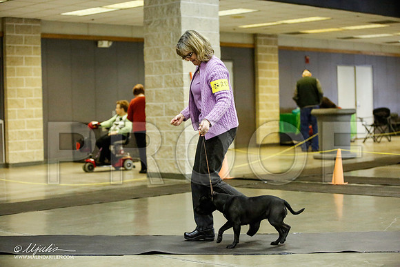 _JJ_6014-BeltonJan2015IABCA-HR3